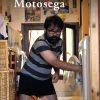 Motosega - immagine 2