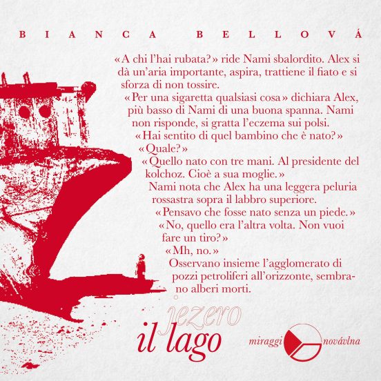 Il lago - immagine 3