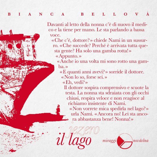 Il lago - immagine 4