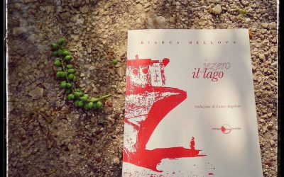 IL LAGO nella recensione-musicale (playlist) di Lorenzo Lampis