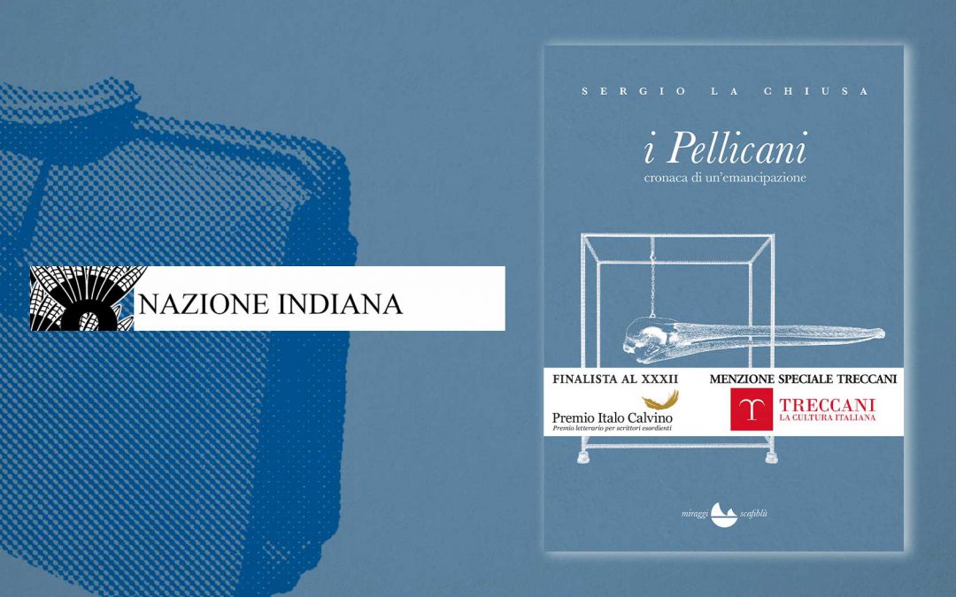 I Pellicani – recensione di Giorgio Mascitelli su Nazione Indiana