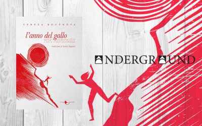 L’anno del gallo – recensione di Martina Mecco su Andergraund