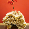 Vaso-Libro