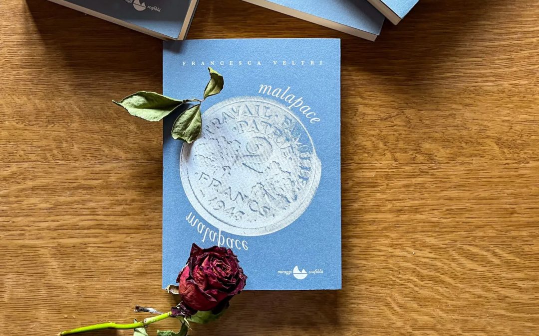 Intervista a Francesca Veltri su BeCult