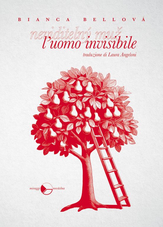 l'uomo invisibile
